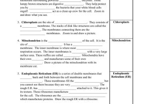 Cellular Structure and Function Worksheet Along with Virtual Cell Worksheet Kidz Activities