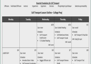 Cellular Transport Worksheet Along with Winonarasheed