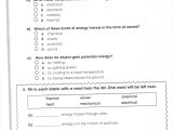 Cellular Transport Worksheet Answer Key as Well as Speciation Worksheet Answers Best Protein Structure Worksheet