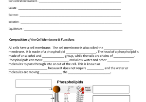 Cellular Transport Worksheet Section A Cell Membrane Structure Answer Key Along with Up Ing Cell Membrane Coloring Worksheet Answers Tips totaltravel Us