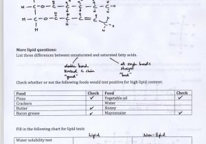 Cellular Transport Worksheet Section A Cell Membrane Structure Answer Key Also Cellular Transport Worksheet Answer Key Da9de1312a9b Battk