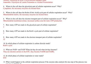 Cellular Transport Worksheet Section A Cell Membrane Structure Answer Key and 16 Inspirational Cellular Transport Worksheet Answers