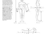 Chapter 1 Introduction to Human Anatomy and Physiology Worksheet Answers as Well as Anatomia Dibujos