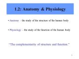 Chapter 1 Introduction to Human Anatomy and Physiology Worksheet Answers or Fein Chapter 1 Anatomy and Physiology Quiz Ideen Menschliche