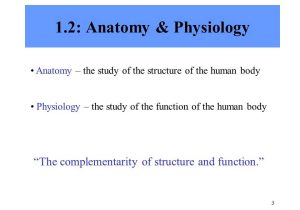 Chapter 1 Introduction to Human Anatomy and Physiology Worksheet Answers or Fein Chapter 1 Anatomy and Physiology Quiz Ideen Menschliche