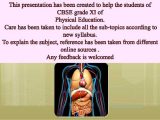 Chapter 1 Introduction to Human Anatomy and Physiology Worksheet Answers together with Chapter 8 Fundamentals Of Anatomy and Physiology