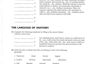 Chapter 1 Introduction to Human Anatomy and Physiology Worksheet Answers with Berühmt Anatomy and Physiology Lab 1 Answers Bilder Menschliche