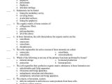 Chapter 1 Introduction to Human Anatomy and Physiology Worksheet Answers with Fein Chapter 1 Anatomy and Physiology Quiz Ideen Menschliche