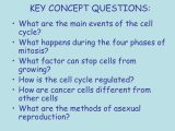 Chapter 10 Cell Growth and Division Worksheet Answer Key Also Chapter 10 Cell Growth and Regulation and A Ual Reproduction