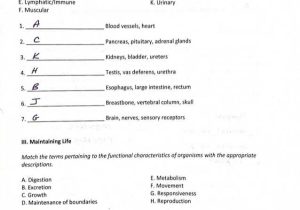 Chapter 10 Cell Growth and Division Worksheet Answer Key and Berühmt Anatomy and Physiology Lab 1 Answers Bilder Menschliche