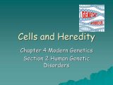 Chapter 11 Complex Inheritance and Human Heredity Worksheet Answers Also Chapter 4 Modern Genetics Section 1 Human Inheritance Ppt Video