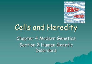 Chapter 11 Complex Inheritance and Human Heredity Worksheet Answers Also Chapter 4 Modern Genetics Section 1 Human Inheritance Ppt Video
