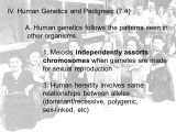 Chapter 11 Complex Inheritance and Human Heredity Worksheet Answers and Chapter 14 the Human Genome Ppt Video Online