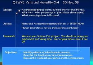 Chapter 11 Complex Inheritance and Human Heredity Worksheet Answers and Ppt On Chromosomes and Genes Worksheet