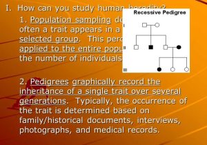Chapter 11 Complex Inheritance and Human Heredity Worksheet Answers and Unit 3 Dna and Genetics Module 9 Human Genetics Ppt Video Online