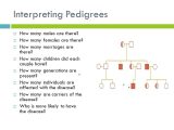 Chapter 11 Complex Inheritance and Human Heredity Worksheet Answers or Inheritance Unit Ppt