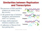 Chapter 11 Dna and Genes Worksheet Answers Also First Latvian Fusker Imageslidesharecdn Transcription1