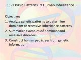 Chapter 11 Introduction to Genetics Worksheet Answers Along with Chapter 11 Introduction to Genetics Worksheet Answers Choice Image