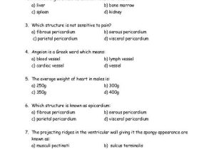 Chapter 11 the Cardiovascular System Worksheet Answer Key with Wunderbar Chapter 11 Anatomy and Physiology Practice Test Galerie