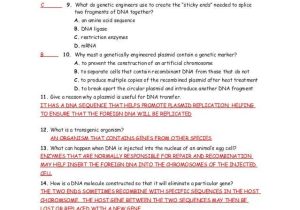 Chapter 14 the Human Genome Worksheet Answer Key together with 15 1 3 Study Guide Ans