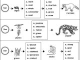 Chapter 2 Principles Of Ecology Worksheet Answers together with Behr John Biology Chapter 13