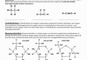 Chapter 2 the Chemistry Of Life Worksheet Answers as Well as Best organic Molecules Worksheet Review – Sabaax