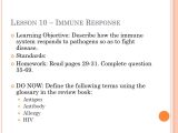 Chapter 24 the Immune System and Disease Worksheet Answer Key or Unit 3 Homeostasis and Immunity Living Environment Mrs Salmon