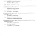 Chapter 24 the Immune System and Disease Worksheet Answer Key with Anatomy and Physiology Archive November 26 2017