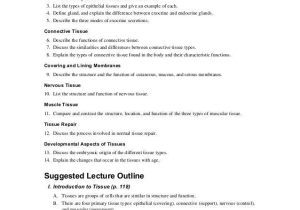 Chapter 4 Cell Structure and Function Worksheet Answers or Großartig Anatomy and Physiology 1 Worksheet for Tissue Types