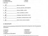 Chapter 6 the Chemistry Of Life Worksheet Answer Key as Well as Berühmt Anatomy and Physiology Lab 1 Answers Bilder Menschliche