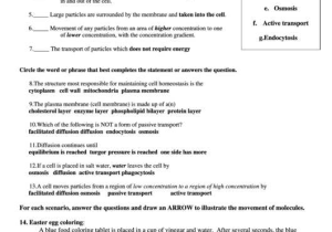 Chapter 7 Active Reading Worksheets Cellular Respiration Section 7 1 Along with Homeostasis Worksheet Pdf Kidz Activities