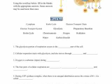 Chapter 7 Active Reading Worksheets Cellular Respiration Section 7 1 and Learn About Cellular Respiration Free Worksheet
