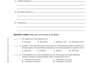 Chapter 7 Active Reading Worksheets Cellular Respiration Section 7 1 together with Modern Biology Worksheet Answers Kidz Activities