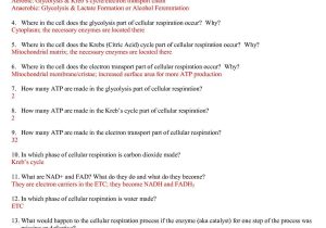 Chapter 7 Cell Structure and Function Worksheet Answers Also Cellular Structure and Function Section 4 Cellular Transport