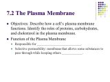 Chapter 7 Section 2 the Plasma Membrane Worksheet Answers as Well as Chapter 7 Cellular Structure & Function Ppt Video Online