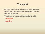 Chapter 7 Section 2 the Plasma Membrane Worksheet Answers as Well as Movement Through the Membrane Ppt