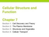 Chapter 7 Section 2 the Plasma Membrane Worksheet Answers together with Chapter 7 Cellular Structure & Function Ppt Video Online