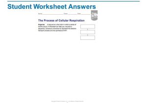 Chapter 9 Review Worksheet Cellular Respiration Along with 19 Inspirational Cellular Respiration Worksheet Answers