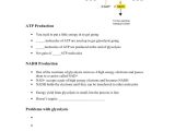 Chapter 9 Review Worksheet Cellular Respiration Along with Cellular Respiration Skills Worksheet Answers Choice Image