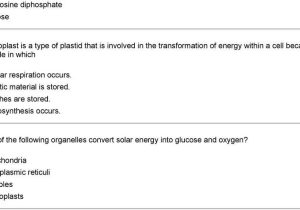 Chapter 9 Review Worksheet Cellular Respiration with Cellular Energy 1 Synthesis is Carried Out by which Of the