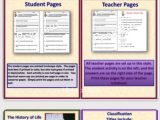 Characteristics Of Bacteria Worksheet Answer Key as Well as 826 Best Teaching Science Images On Pinterest