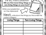Characteristics Of Living Things Worksheet and 16 Best Kindergarten Science Images On Pinterest