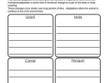 Characteristics Of Living Things Worksheet and Living and Non Living Things Worksheets