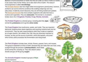 Characteristics Of Living Things Worksheet together with Classification Of Living Things Find This On Exploringnature