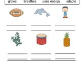 Characteristics Of Living Things Worksheet with Living and Non Living Things Worksheets