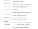 Chemistry Chapter 7 Worksheet Answers Along with Ziemlich Study Guide for Human Anatomy and Physiology Answers