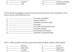 Chemistry Of Life Worksheet Answers Along with 1380 Best Science Images On Pinterest