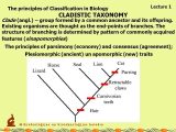 Chemistry Of Life Worksheet Answers as Well as Taxonomy Worksheet Biology Answers Unique Basic Cell Biology I