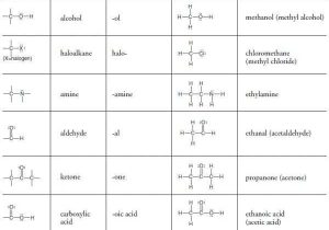 Chemistry Of Life Worksheet together with 9 Best Periodic Table Images On Pinterest