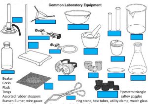 Chemistry Of Tie Dye Worksheet and Lab Safety Equiptment Wallskid